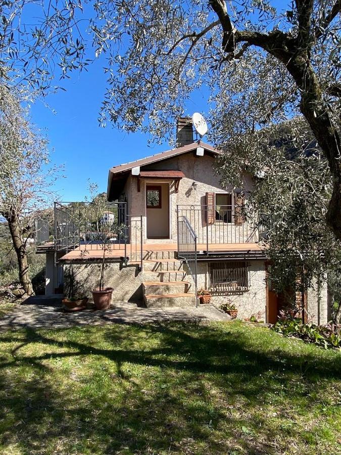 Olive Grove House Apartment Malcesine Exterior photo